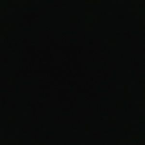 Meet your Posher, Joey